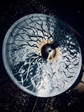 Vein Gold Crash Cymbals – Titanium Handmade (16"–22")